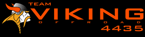 Viking Logo